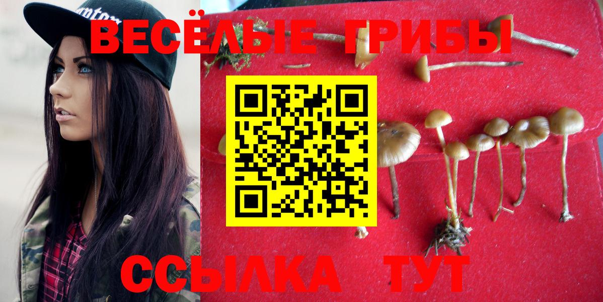 Псилоцибиновые грибы MAGIC MUSHROOMS Рассказово
