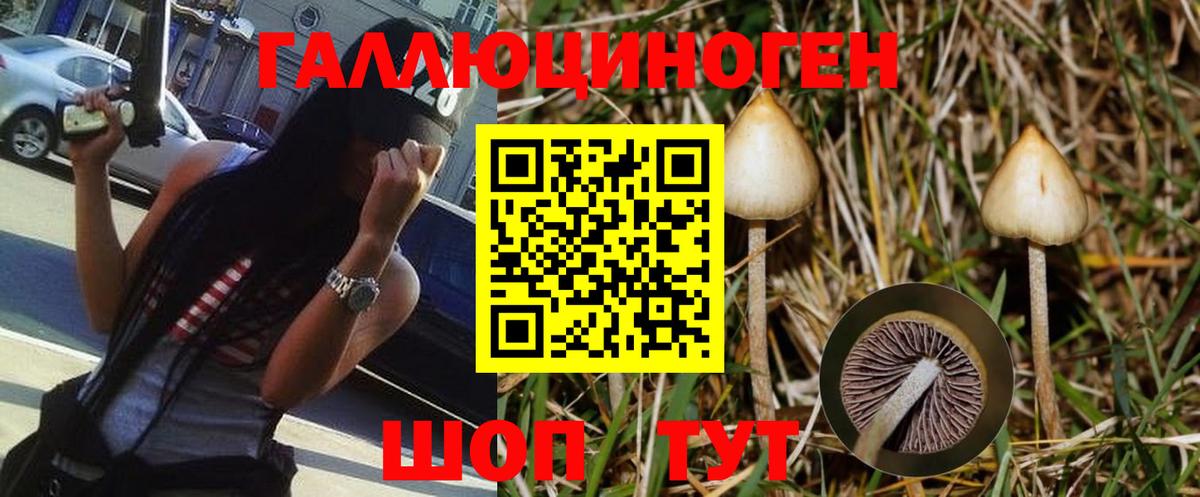 Рассказово  Галлюциногенные грибы мухоморы  наркота  Вход с VPN 